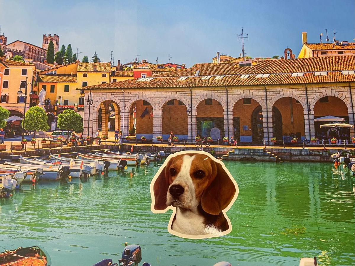Desenzanoloft Blue Lake Star Daire Desenzano del Garda Dış mekan fotoğraf